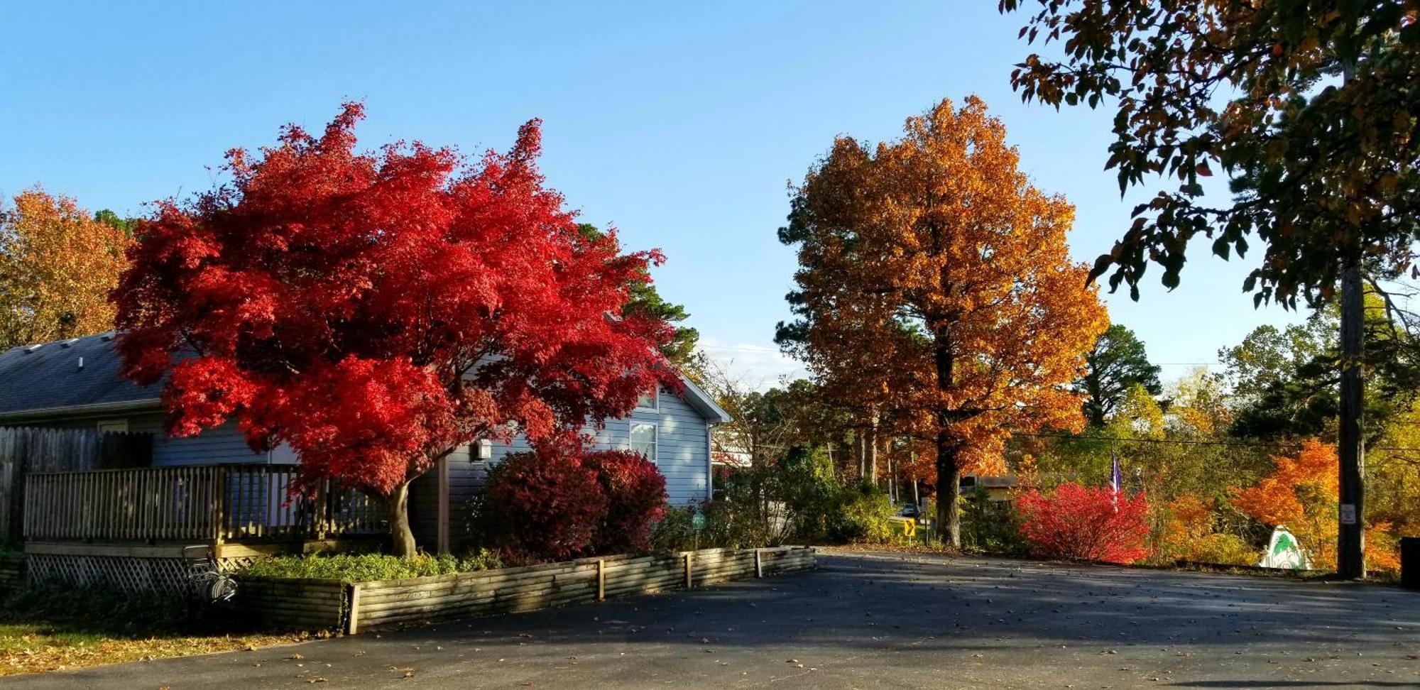 Evening Shade Inn Eureka Springs Luaran gambar